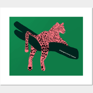 leopard, endangered, cute big cat Posters and Art